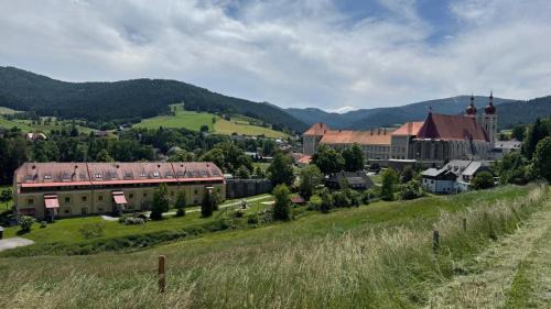 Das Steirer-Nest