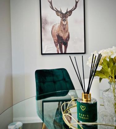 DeerHome Apartment