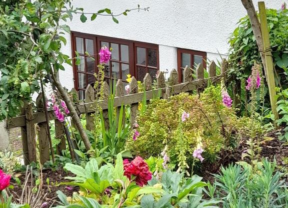 Delightful Devon Cottage