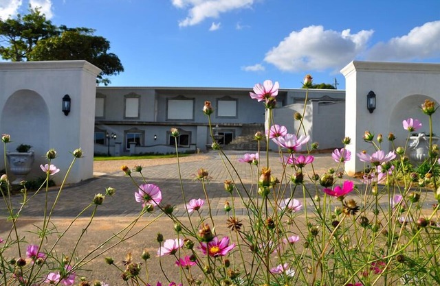 Dieu Donne Boutique Guest House Stellenbosch