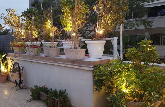 Dip in green vacation or business apartment, BB per stay, 5 min to center