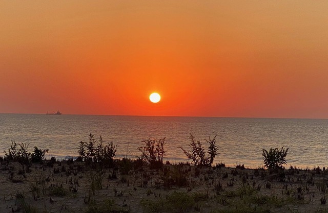 Direct Oceanfront condo in the heart of Beach Haven, Long Beach Island!