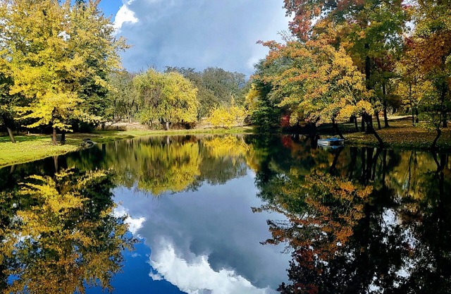 Discover Lake Farmhouse next to 100 acres
