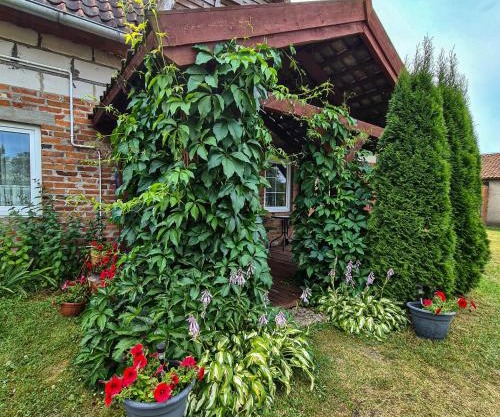 Domek Pod Mazurskim Lasem
