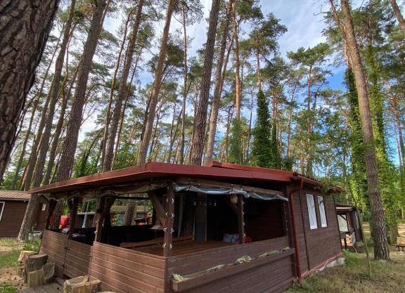 Domek Wakacyjny Maciuś 48