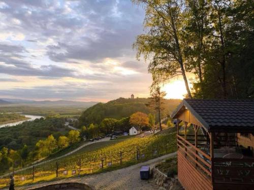 Domki Na Winnicy - Winnica Talaska