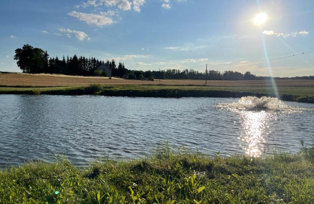 Domki Nad Malowniczym Stawem/Raj Dla Wędkarzy/Mazury