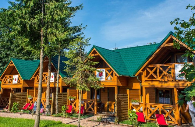 Domki pod lasem blisko morza