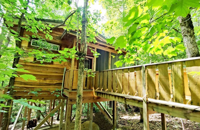 Dove Treehouse Getaway w/Hot Tub & Firepit!