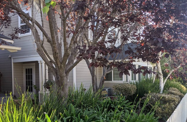 Downtown Santa Barbara Coastal Retreat