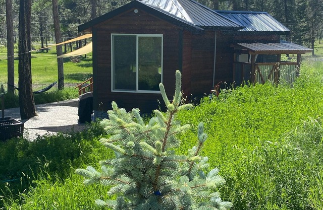 Eagle's Nest For Great Hikes, Local Breweries and Coffee Shops.