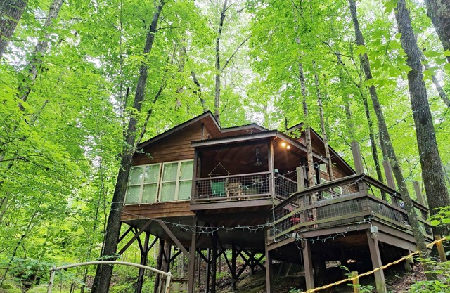 Eagle Treehouse Getaway with Hot Tub, Gas Fireplace, and Outdoor Firepit!