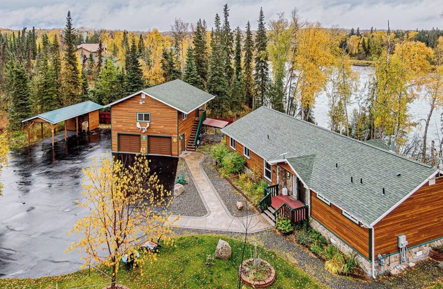 Eagles Landing on the Kenai River