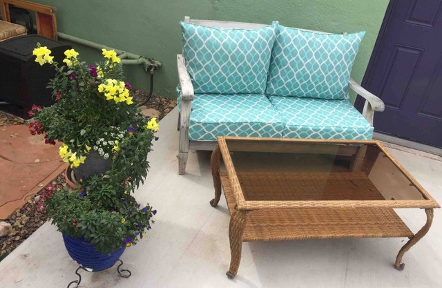 Eco-Friendly Desert Oasis