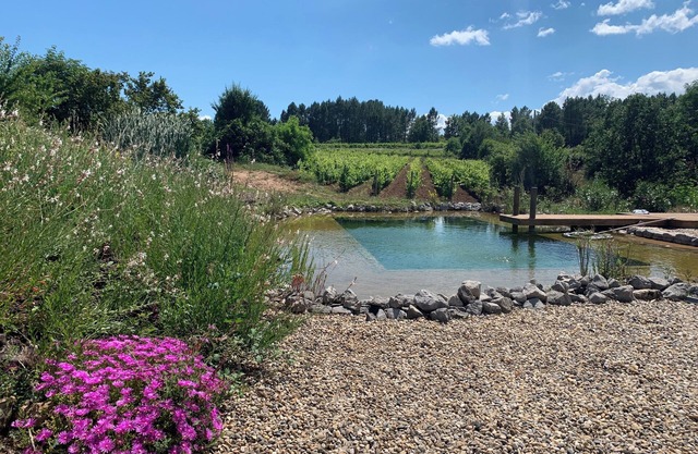 ECO GITE 3 stars 2/3pers AU COEUR DES VIGNES