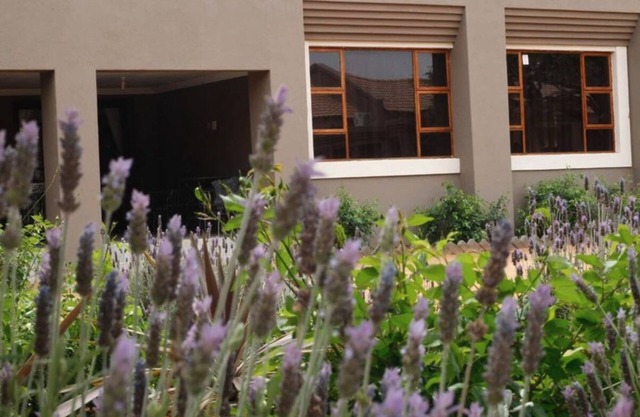 Ein Gedi Premier Lodge