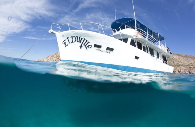 El Duque Adventures In The Sea Of Cortez And Beyond