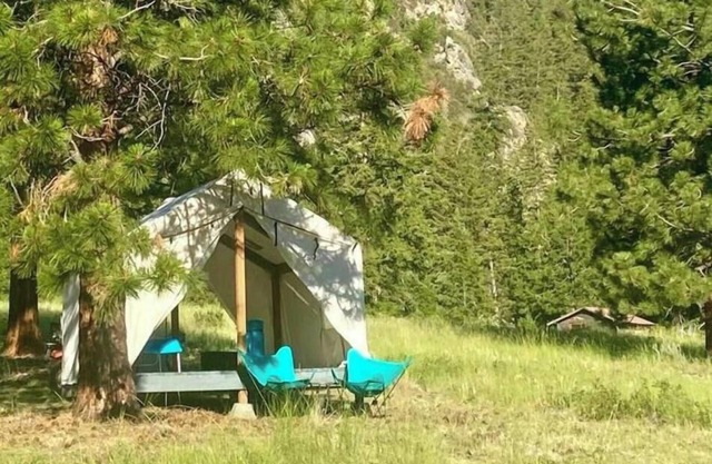 Elderberry tent & Lewis tent