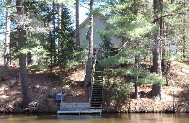 Elysian River Escape: Autumn Bliss on the Manistee River – A Fly-Fisherman's Dream