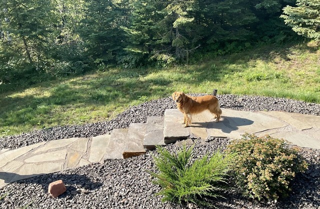 Encampment Trailside 4Plex Suite | Access to Gooseberry Park | Pets | Lake View
