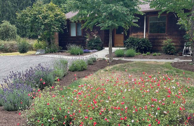 Enchanting meadow retreat 2-bedroom cottage on beautiful Whidbey Island