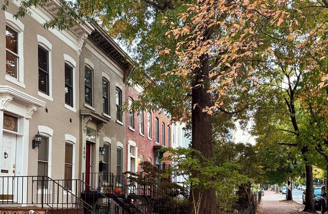 English Basement – Capitol Hill – Free parking