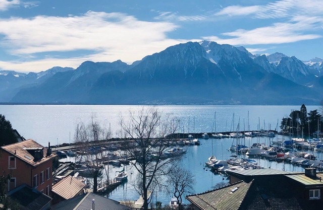 Enjoy panoramic views close to all via lakeside walk or bus next door !