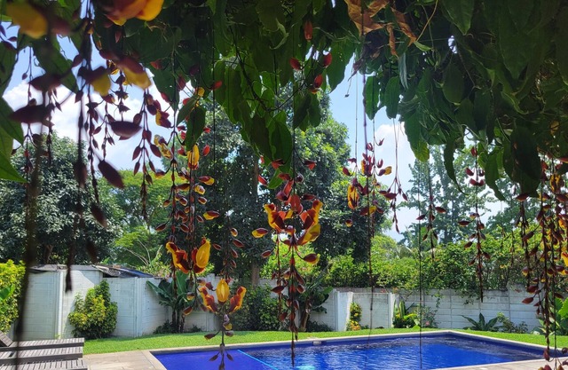 Entire lovely Villa- terrace and access to a swimming pool