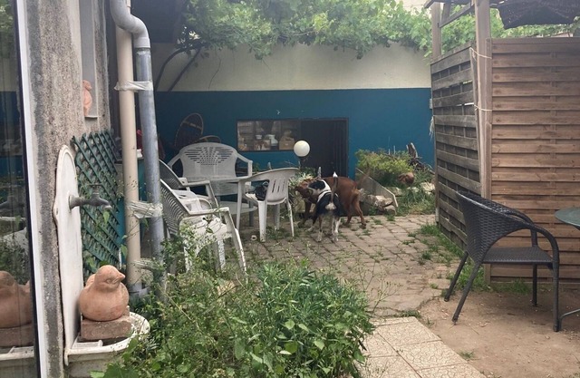 EQUIPPED STUDIO WITH GARDEN