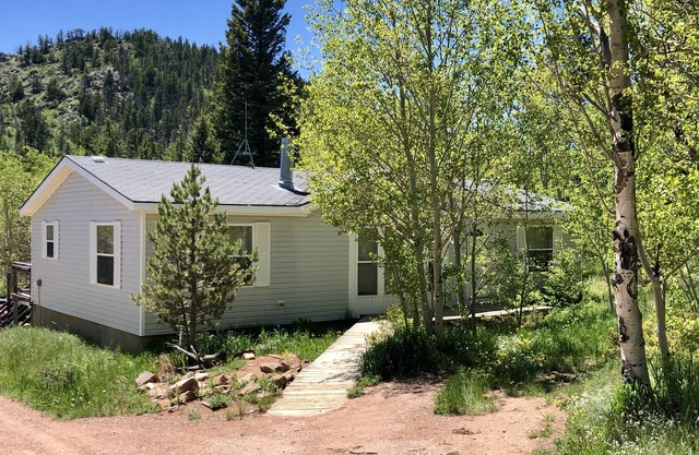 Escape to Black Bear Hollow~Secluded in a Beautiful Aspen Grove & Dog Friendly!