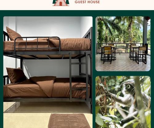 Evergreen Guest House