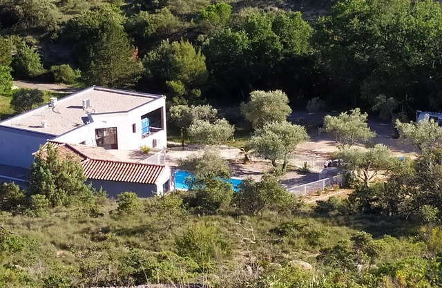 EXCEPTIONAL ENVIRONMENT WITHOUT OPPOSITE