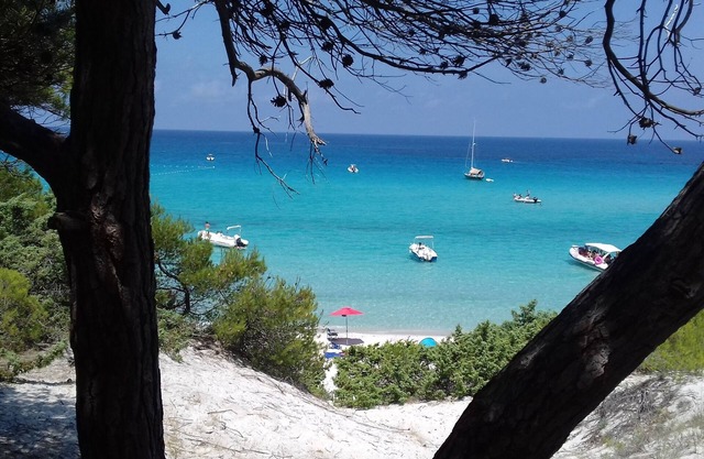 EXCEPTIONAL VIEW OF VINEYARD AND SEA AIR CONDITIONED RENTAL