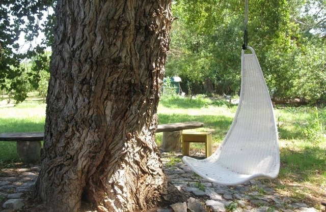 Exclusive alternative to camping in the shade of ancient poplars