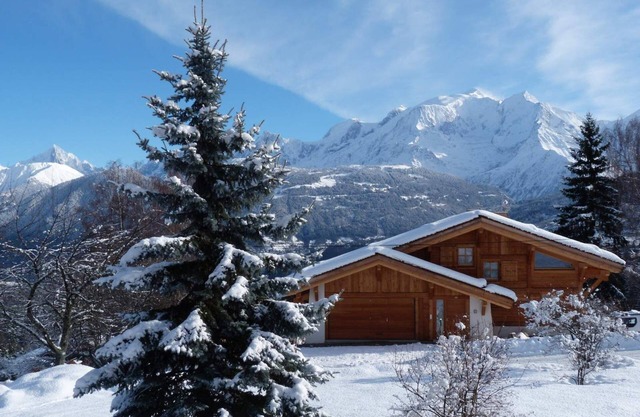 F2 apartment in chalet facing Mont Blanc (pets not allowed)