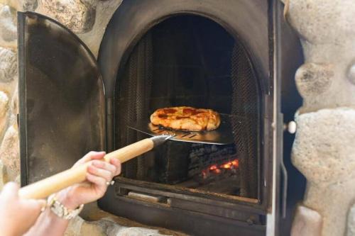 Fairplay Coyote Cabin