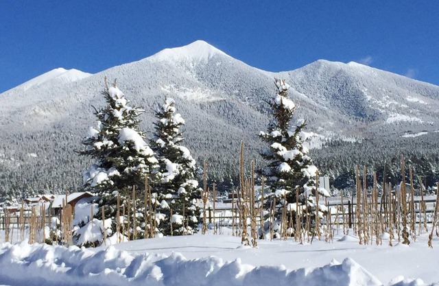 Fall is here, the leaves are changing! This weekend is available! Book now!