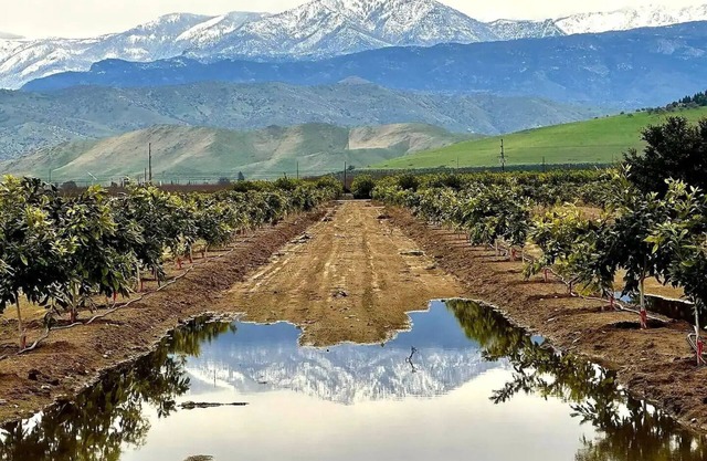 Fall Relaxation, National Parks, Home in the Orchards in Quaint Exeter