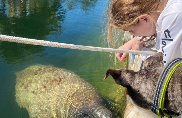 FALL SPECIAL!!! NEW RATES 🏴‍☠️ PIRATES PLEASURE 🏴‍☠️