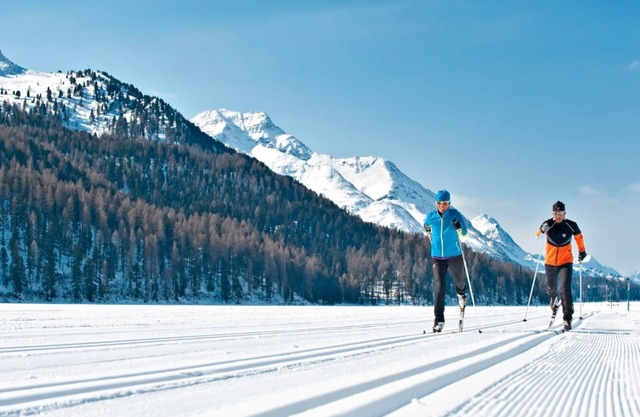 Family apartment near the ski slopes of St. Moritz - SILVAPLANA