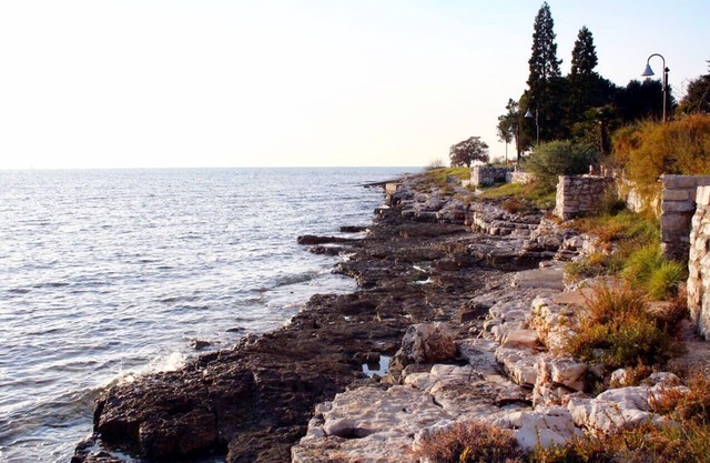 Family friendly house with a swimming pool Fiorini, Novigrad (K-21535)