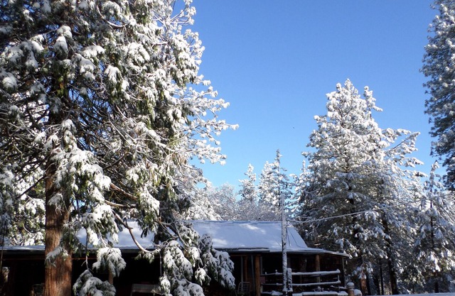 Family friendly house (cabin) 20 minutes from Kings Canyon, pets welcome!