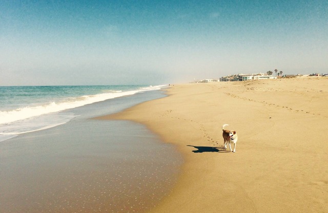 Family Fun Beach House 30 day minimum rental