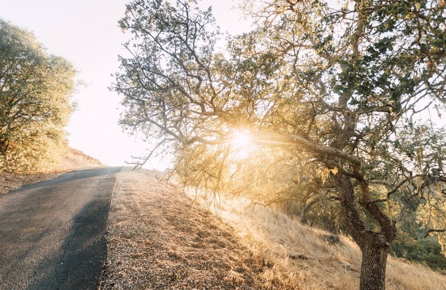 Family Getaway, Paso wineries, Hot Tub, Dogs!