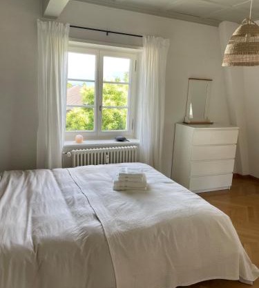 Fantastically beautiful old building apartment with lake view