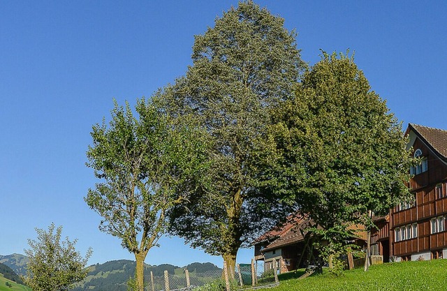 Farm holidays with the best Alpstein view