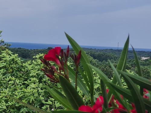 Ferienhaus Villa Marein