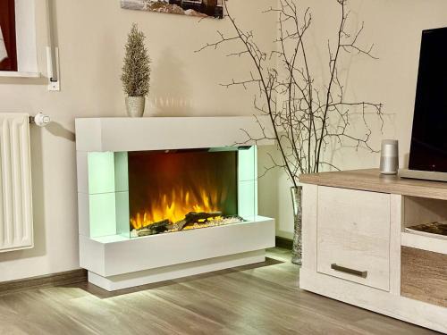 Ferienwohnung-Am-Suedhang