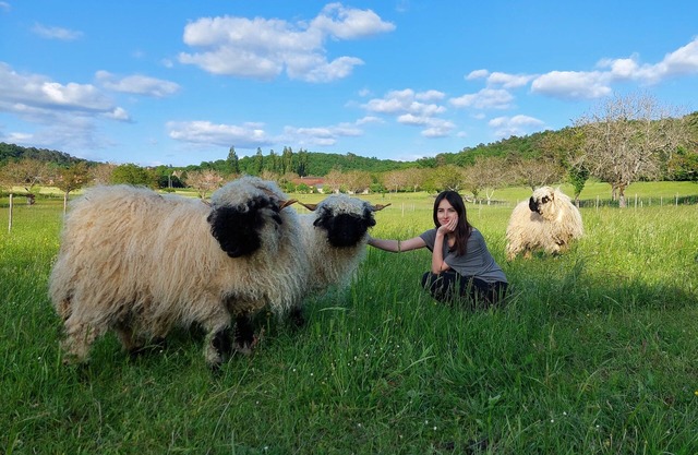 Ferme des Petites Oreilles: 4* gîte, 100 animals and 24 ha. Ideal for families