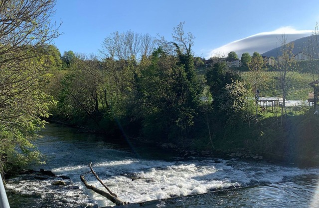 Fewo "Cozy Little Dream"